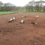 Archaeology | Heritage Consultancy | Desktop Assessment, Programme of Works & Site Evaluations | Archaeological Excavations & Post Excavation Analysis | Community Excavations | Northern Ireland | Northern Archaeological Consultancy